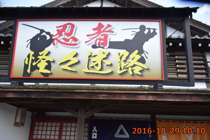 豬豬牛牛應該會迷路~