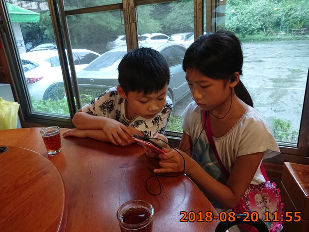 姊姊妳抓到哪隻怪?