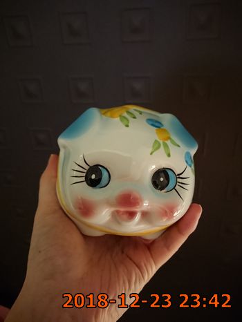 復國神豬
