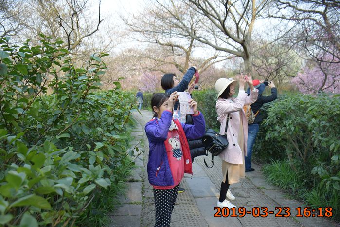 豬豬跟媽媽開始拍照照