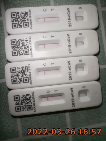 全陰
