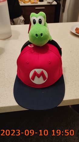 帽子 + Yoshi 夾